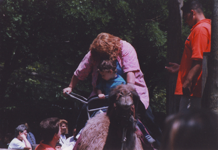 Jill & Louis go for a Elephant Ride