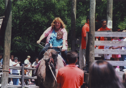 Jill & Louis go for a Elephant Ride