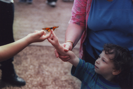 Louis and friendly Butterfly