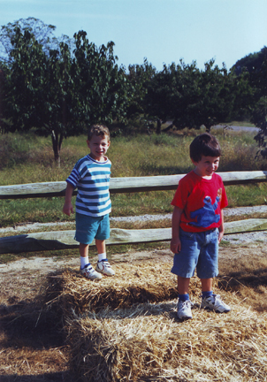 Louis & David Levy