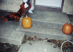 Mr. Pumpkin & Friends