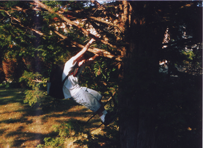 Climbing the tree