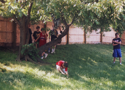 Lous starts to go up a tree